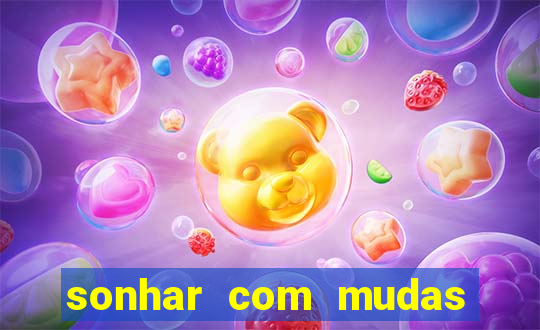 sonhar com mudas de plantas